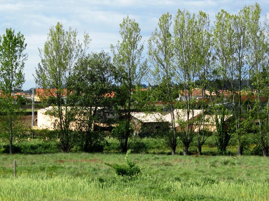 Casa Do Moinho ξενώνας Οβάρ Εξωτερικό φωτογραφία